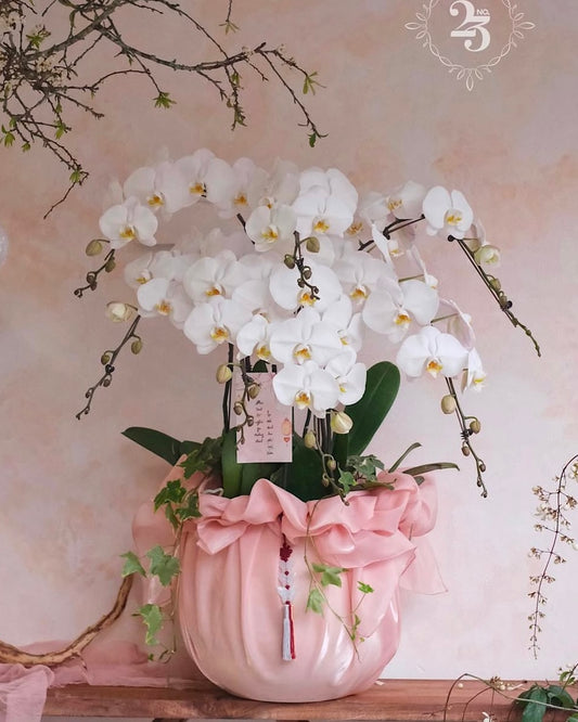 (Customisable) 10 Stems Orchid Arrangement