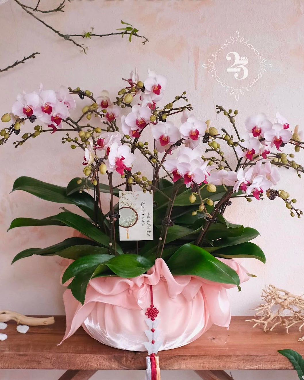 (Customisable) 10 Stems Orchid Arrangement