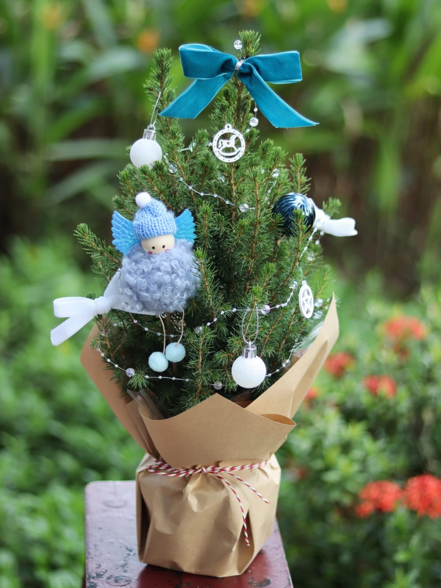 Angel Picea | Potted Plant Holiday Tree