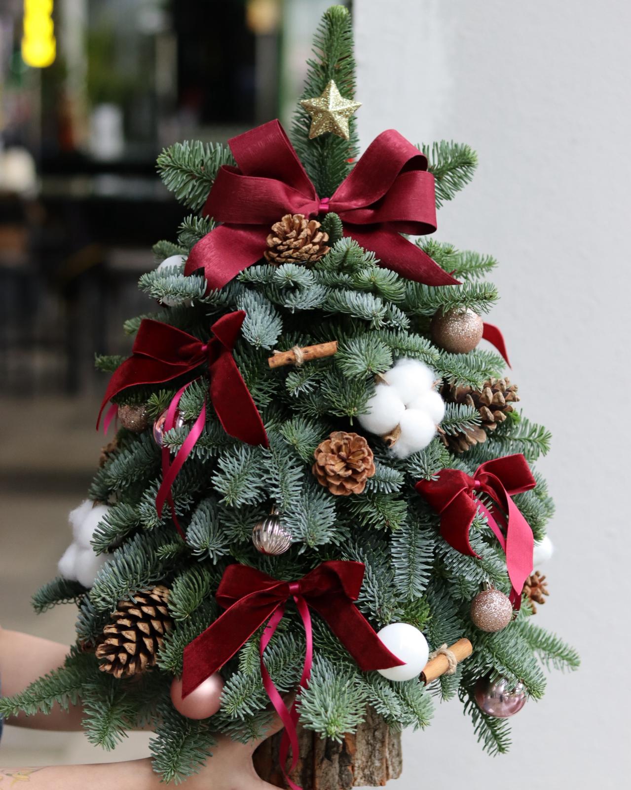 Merry & Bright Red | Handcrafted Fresh Mini Christmas Tree