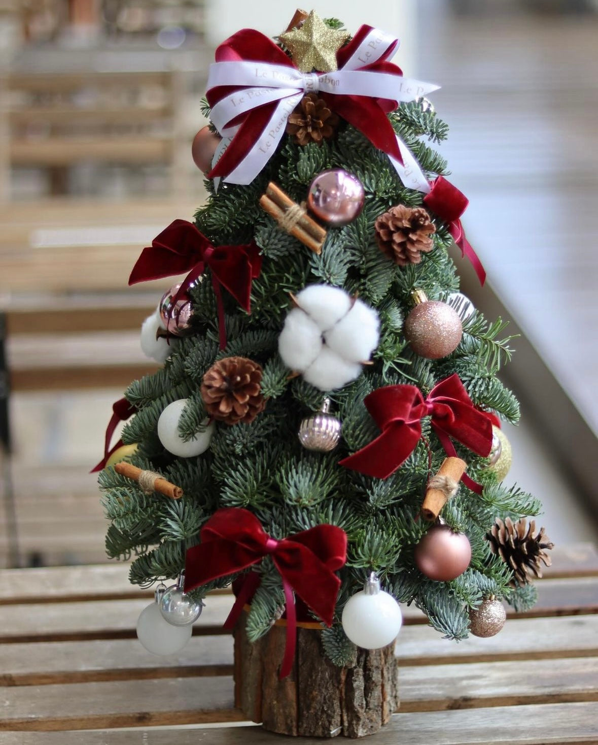 (Customisable) Mini Fresh Christmas Tree with Box Base