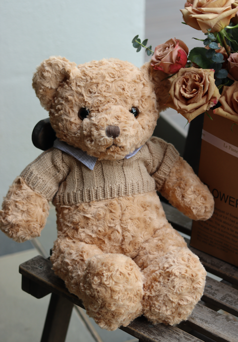 Teddy Bear Soft Toy