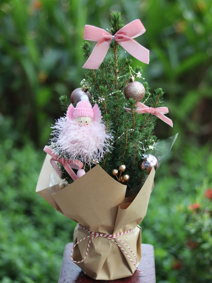 Angel Picea | Potted Plant Holiday Tree