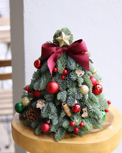 Classic Red | Denmark Noble Fir Mini Christmas Tree (DIY Package Available)