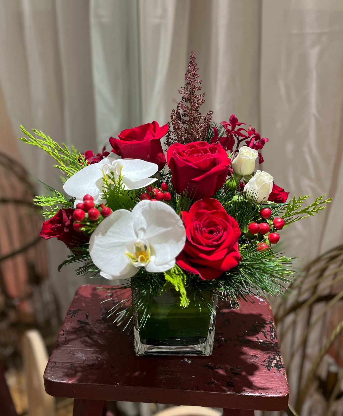 Festive Orchids | Holiday Arrangement