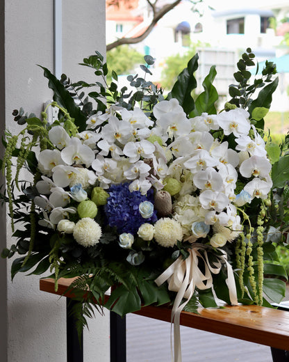 Serein Orchid | Flower Box Stand