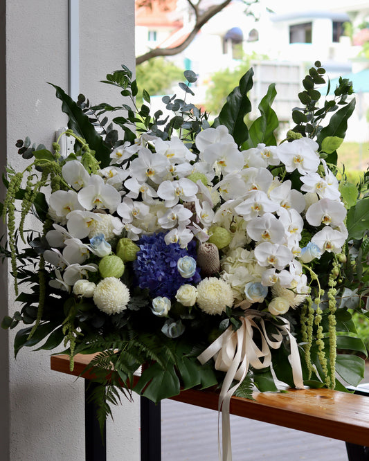Serein Orchid | Flower Box Stand