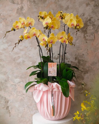 (Customisable) 8 Stems Orchid Arrangement