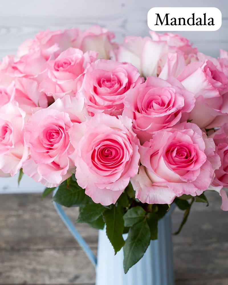 30 Premium Pink Rose Classic Round Bouquet