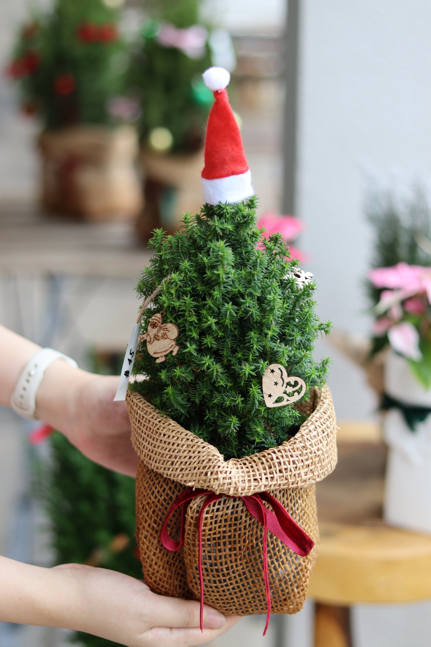 Alpica | Potted Plant Holiday Tree