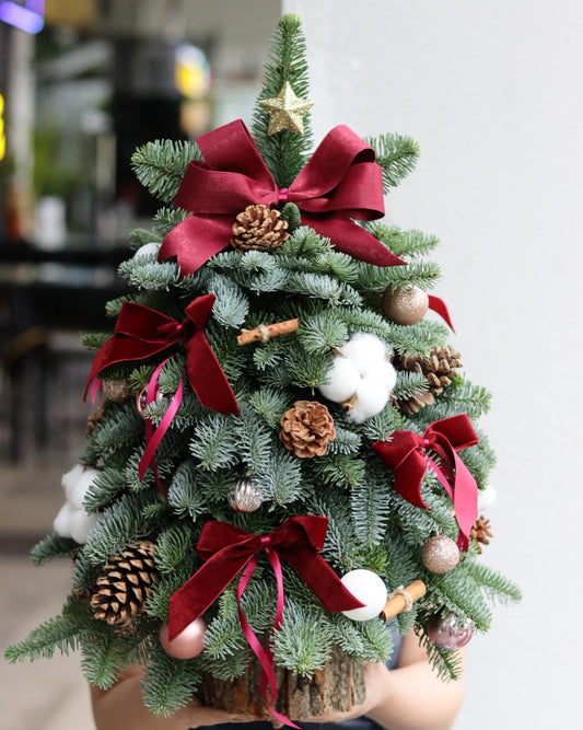 Merry & Bright Red | Handcrafted Fresh Mini Christmas Tree