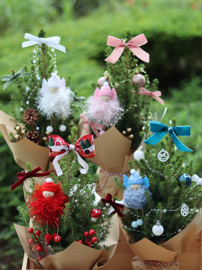 Angel Picea | Potted Plant Holiday Tree