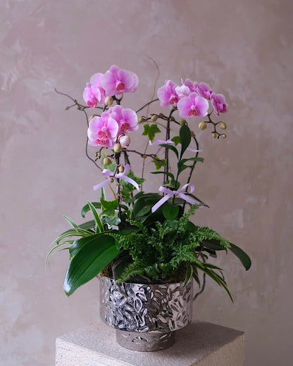 (Customisable) 3 Stems Orchid
Arrangement