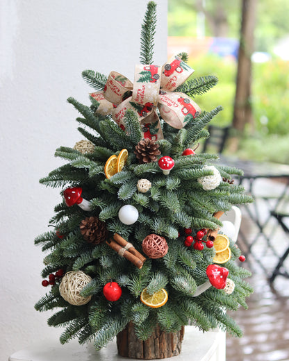 Rustic Christmas Spices| Handcrafted Fresh Mini Christmas Tree