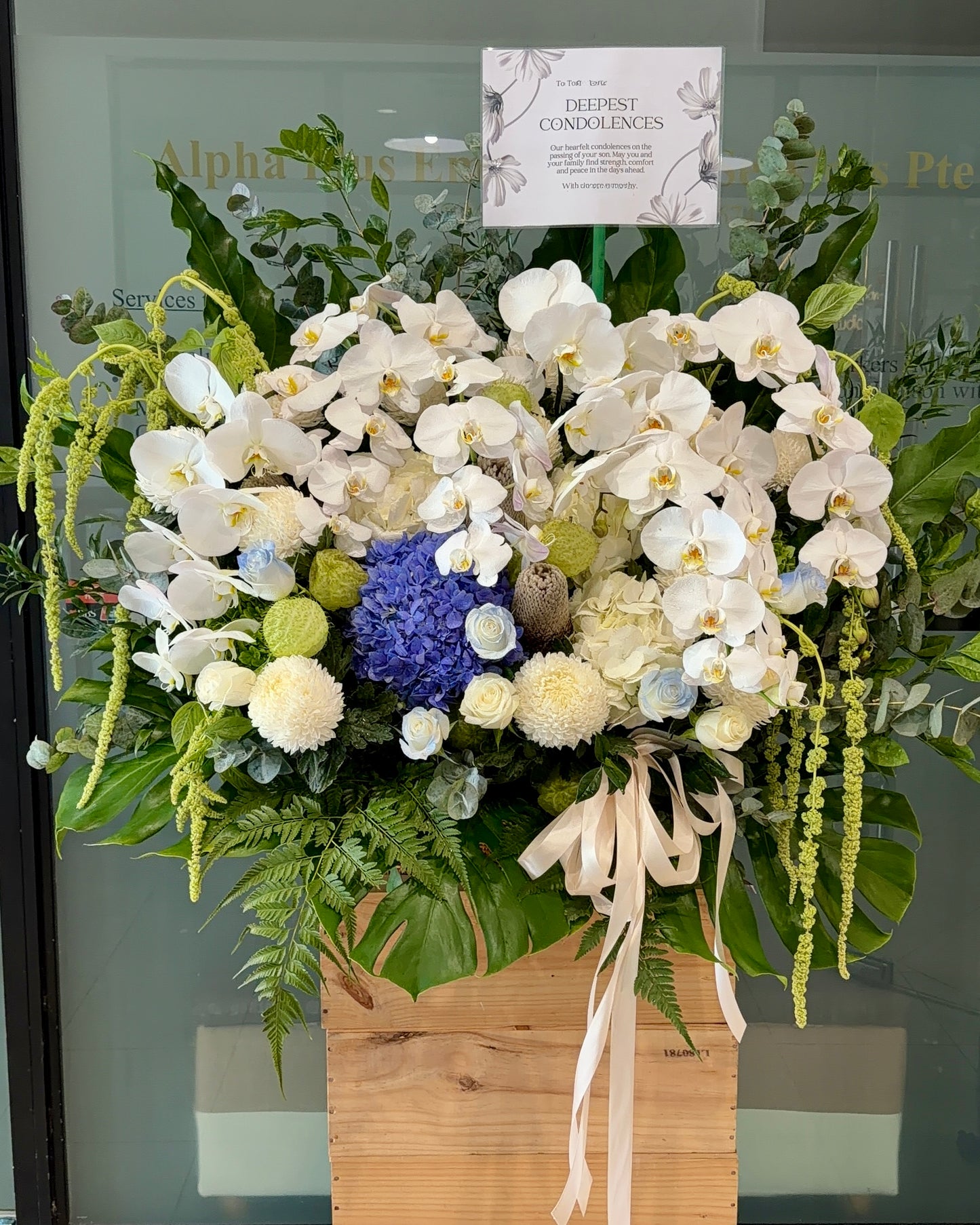 Serein Orchid | Flower Box Stand