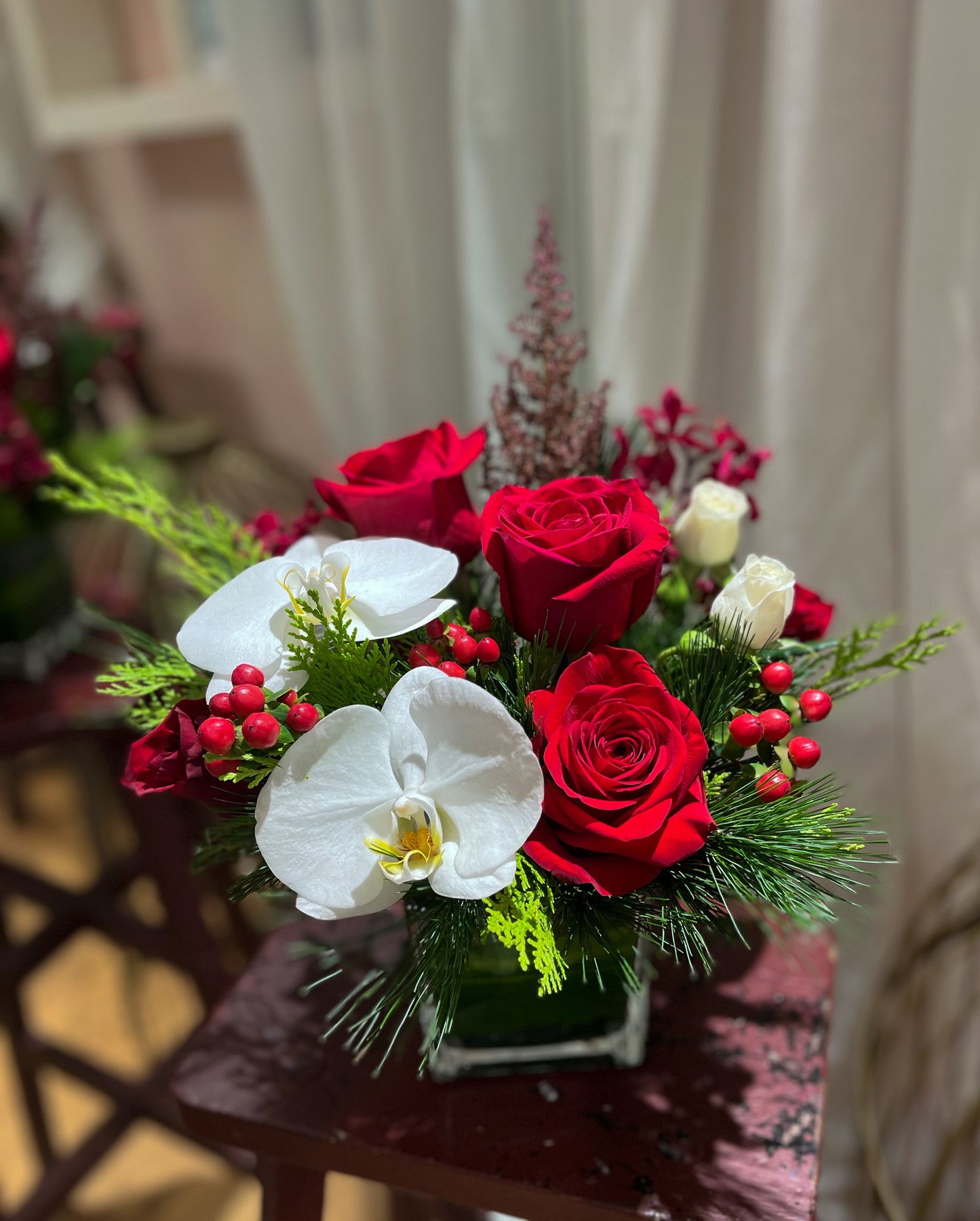 Festive Orchids | Holiday Arrangement