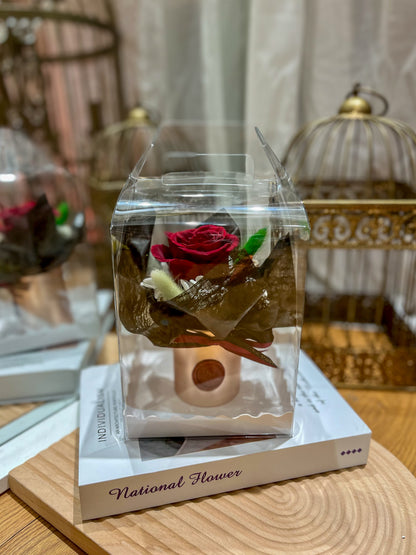 Single Rose | Preserved Flower Gift Box