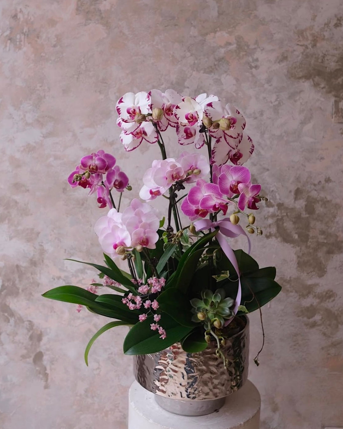 (Customisable) 5 Stems Orchid Arrangement