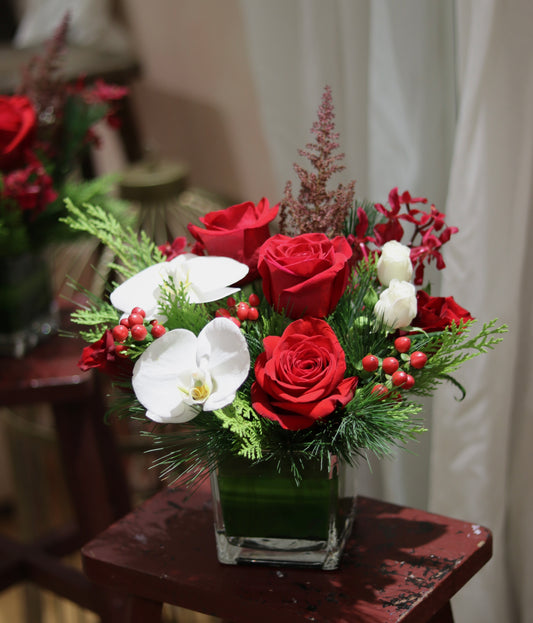 Festive Orchids | Holiday Arrangement