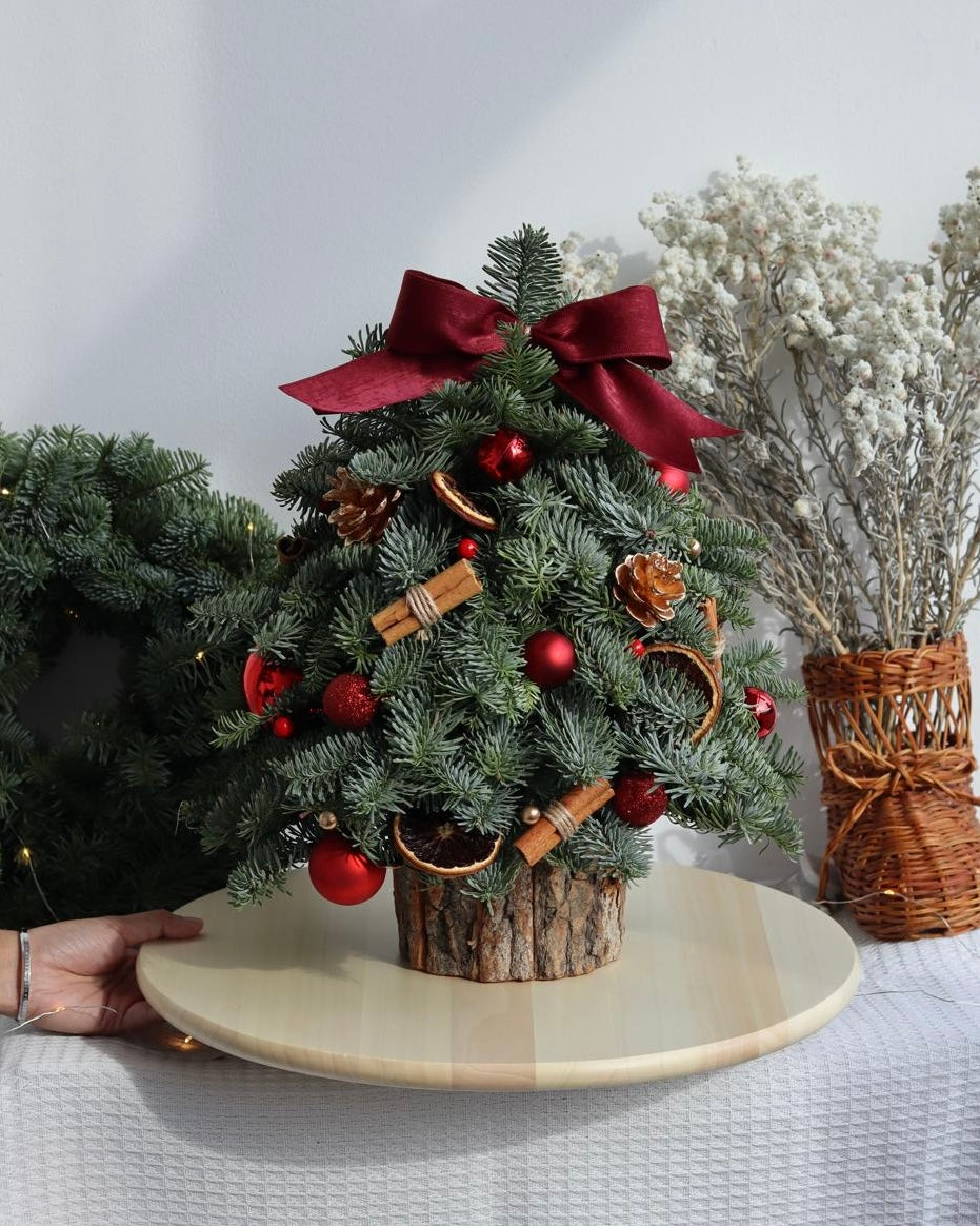 Mini Christmas Tree Workshop