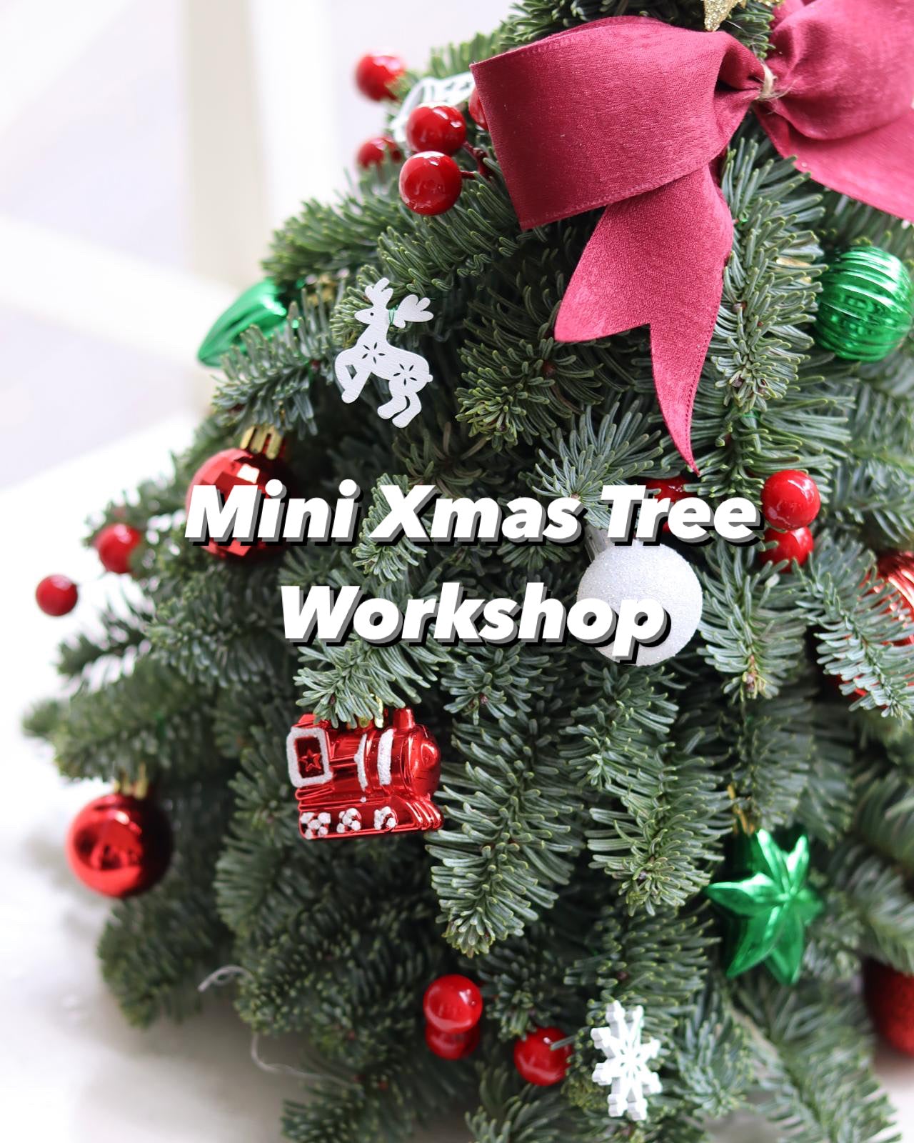 Mini Christmas Tree Workshop