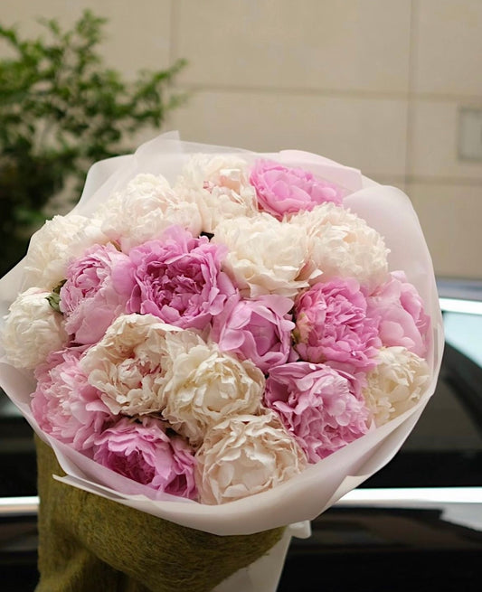 Mix White Pink Peony (Order in Advance)