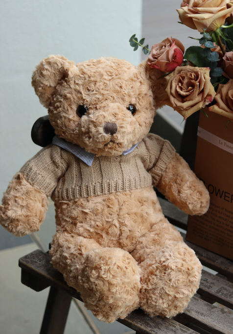 Teddy Bear 50cm