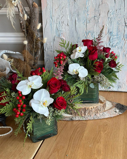 Festive Orchids | Holiday Arrangement