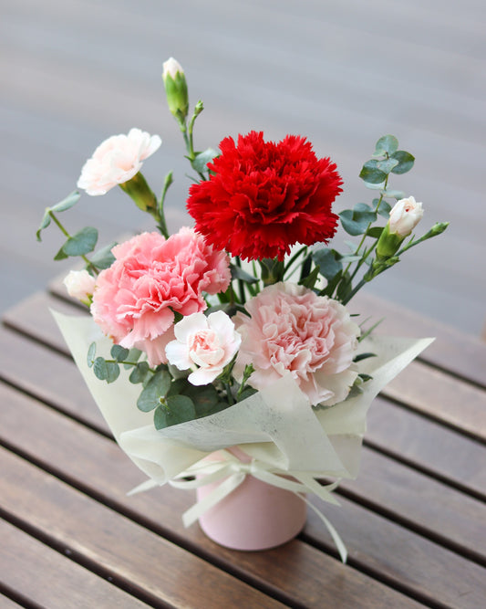 Carnations Edition | Petite Bloom Box Series