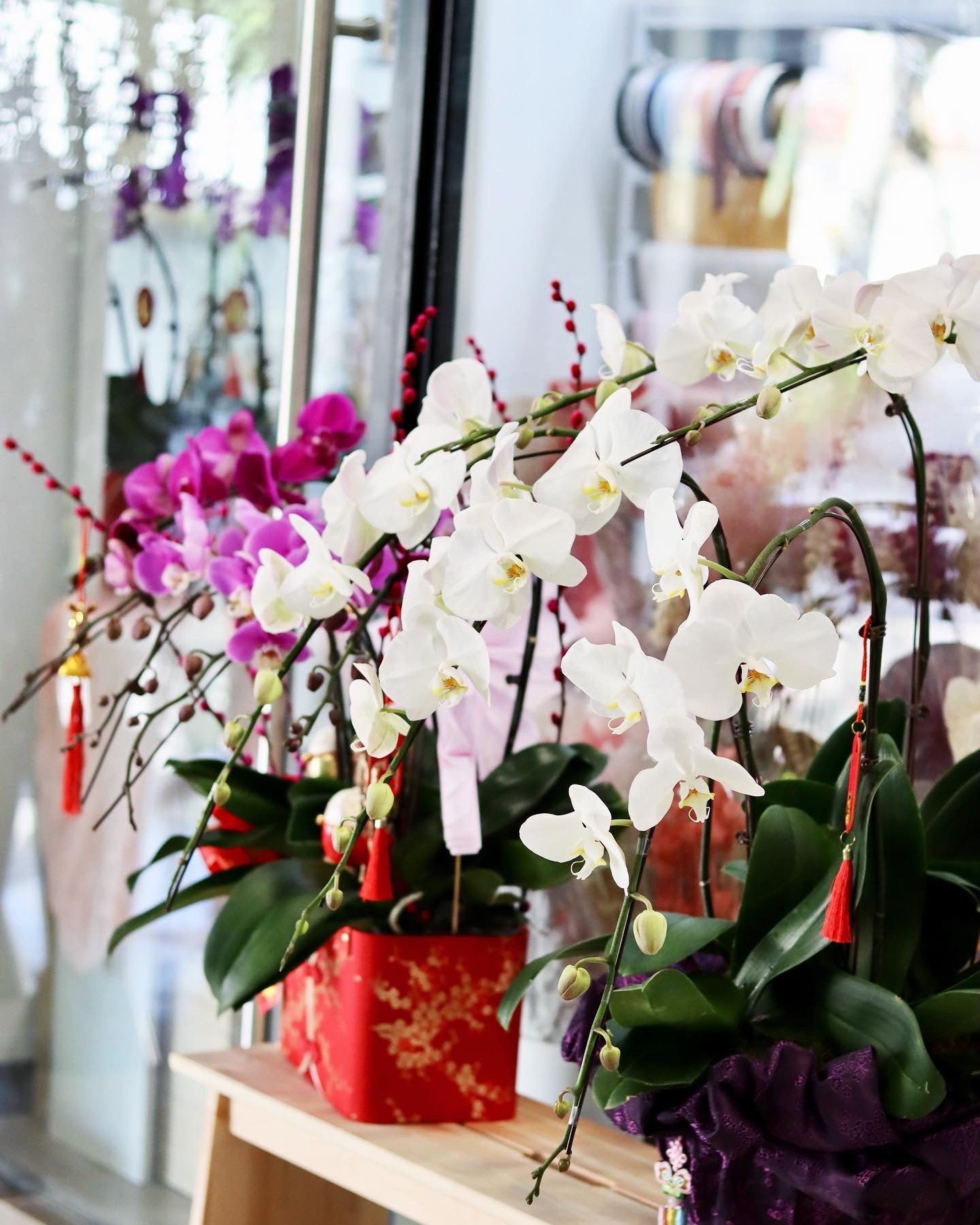 Pure Happiness | Orchid Arrangement